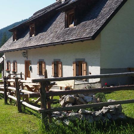 Хостел Zickerreith Almhutte Rosenau am Hengstpass Экстерьер фото