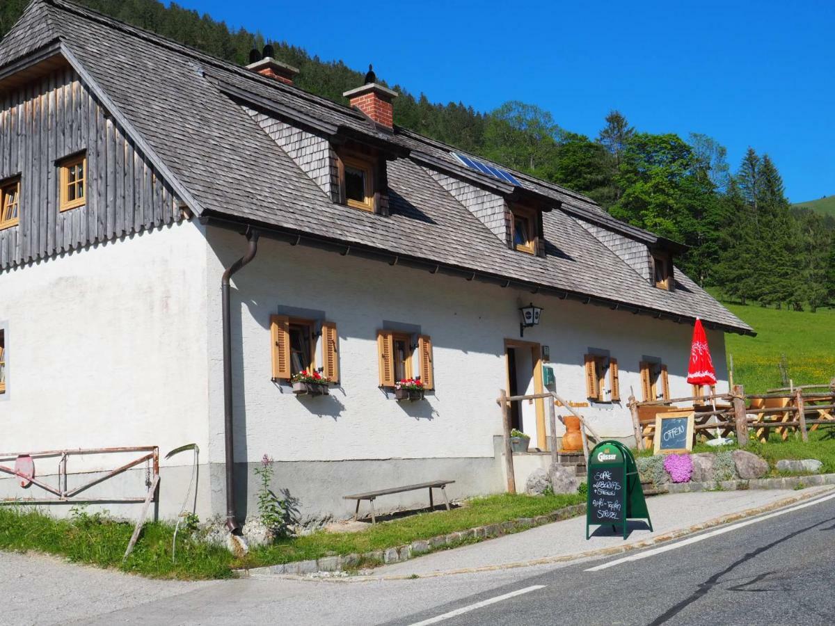 Хостел Zickerreith Almhutte Rosenau am Hengstpass Экстерьер фото