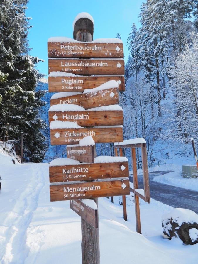 Хостел Zickerreith Almhutte Rosenau am Hengstpass Экстерьер фото