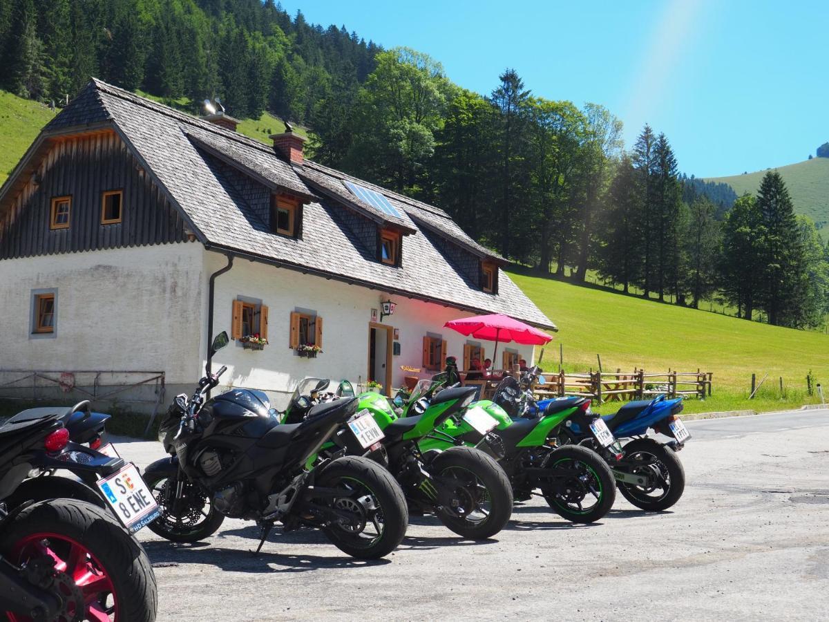 Хостел Zickerreith Almhutte Rosenau am Hengstpass Экстерьер фото