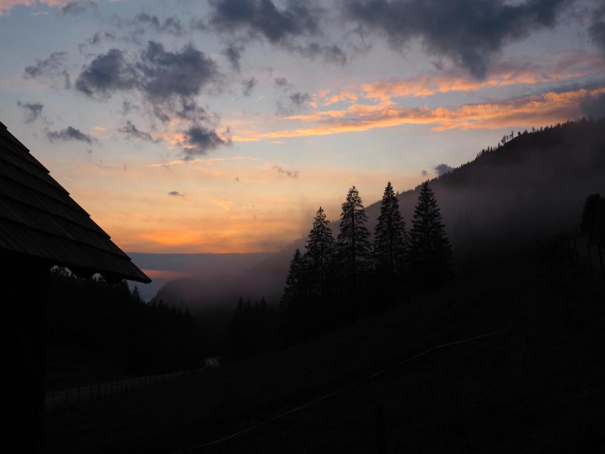 Хостел Zickerreith Almhutte Rosenau am Hengstpass Экстерьер фото