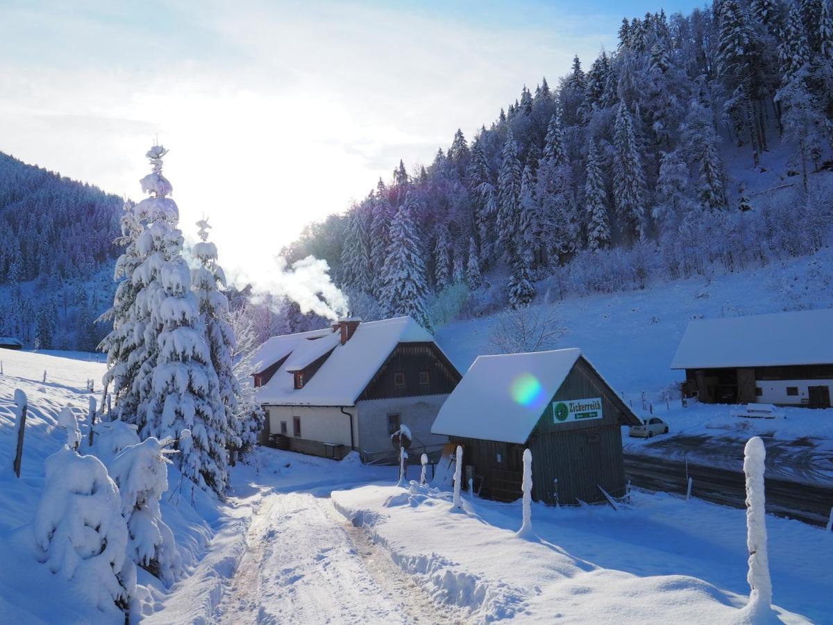 Хостел Zickerreith Almhutte Rosenau am Hengstpass Экстерьер фото